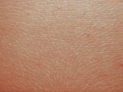 Réduction significative de la repousse après 2 mois d'utilisation